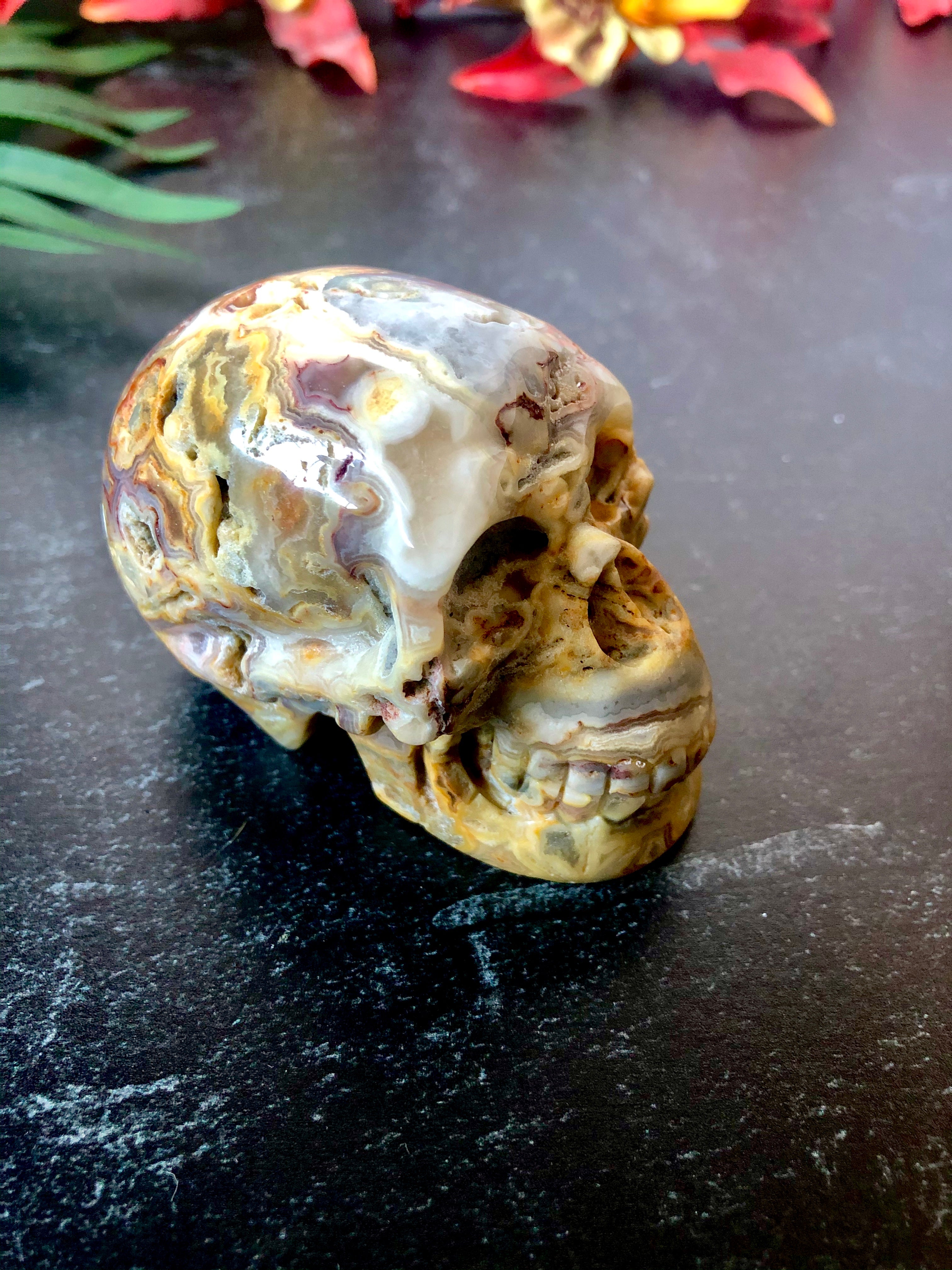 Crazy Lace Agate Skull
