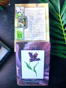 Nature’s Wisdom Oracle Card Set